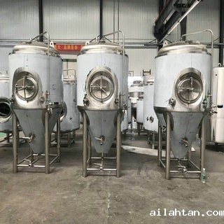 300L啤酒发酵罐