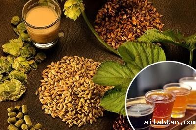 豪鲁精酿啤酒设备 豪鲁精酿啤酒设备