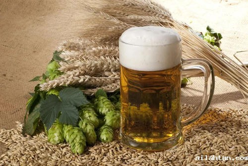 啤酒原料 啤酒原料