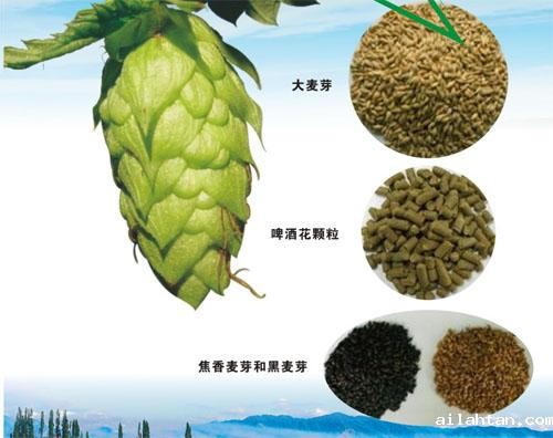 啤酒原料 啤酒原料